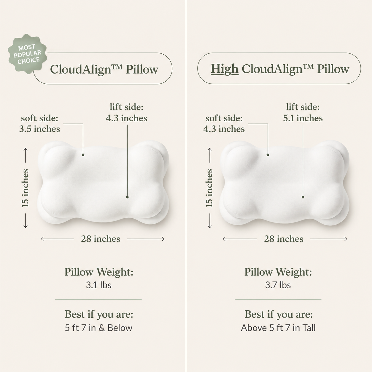 CloudAlign™ Pillow
